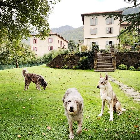 ホテルAlpe Del Lupo サン・フェデーレ・インテルヴィ エクステリア 写真